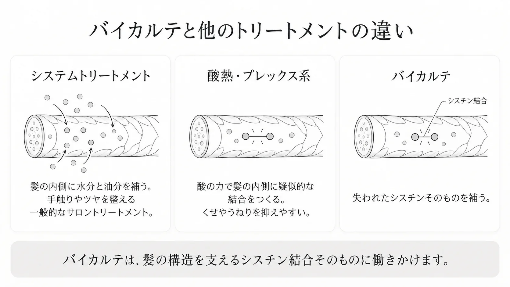 バイカルテと他のトリートメント3種類の比較図