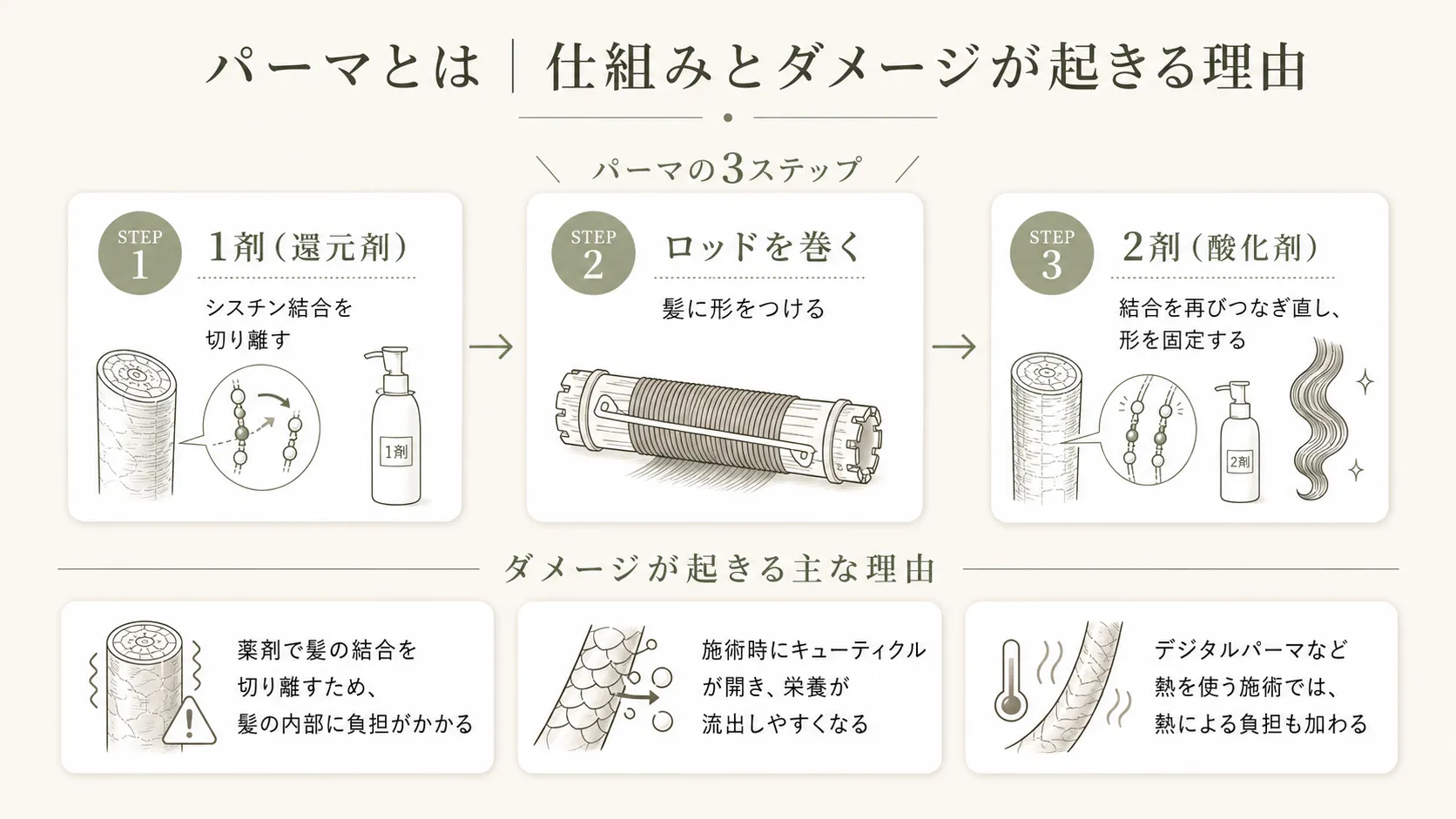 パーマの3ステップの仕組みとダメージが起きる理由を解説した図